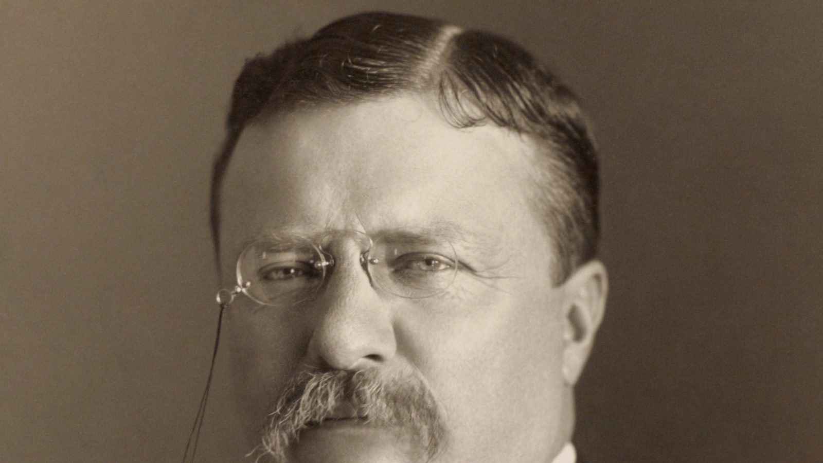 Retrato de Theodore Roosevelt
